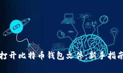 如何安全地打开比特币钱包文件：新手指南与常见误区