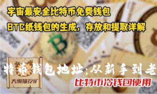 如何快速设置比特币钱包地址：从新手到老司机的完整指南