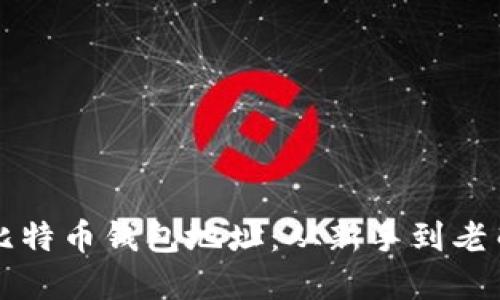 如何快速设置比特币钱包地址：从新手到老司机的完整指南