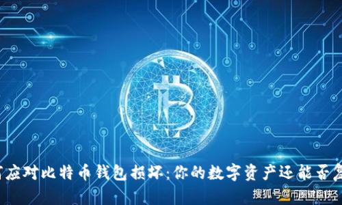如何应对比特币钱包损坏：你的数字资产还能否复苏？