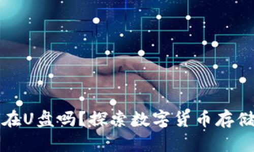 比特币钱包可以放在U盘吗？探索数字货币存储的安全性与便捷性