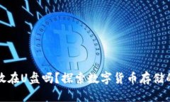 比特币钱包可以放在U盘吗？探索数字货币存储的