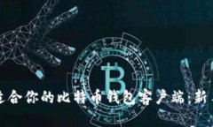 如何选择适合你的比特币钱包客户端：新手必看