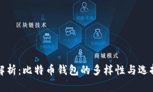 全面解析：比特币钱包的多样性与选择指南
