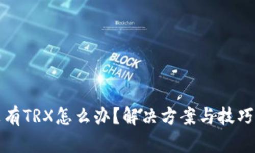 钱包没有TRX怎么办？解决方案与技巧大揭秘
