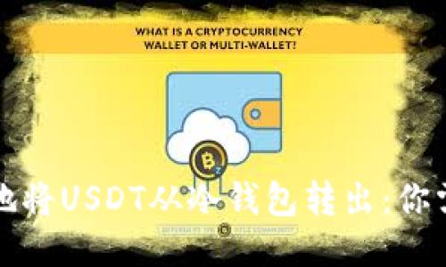 如何安全高效地将USDT从冷钱包转出：你需要知道的一切