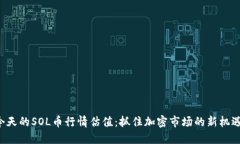 今天的SOL币行情估值：抓