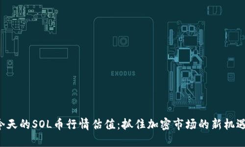 今天的SOL币行情估值：抓住加密市场的新机遇！