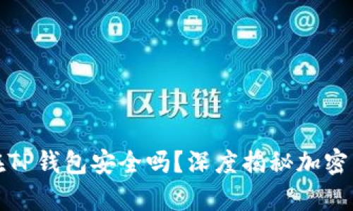 狗狗币存放在TP钱包安全吗？深度揭秘加密货币的安全性