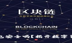 下载虚拟币钱包安全吗？