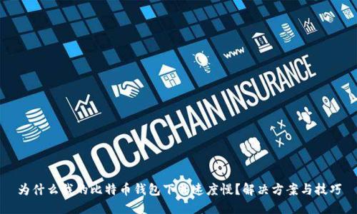 为什么我的比特币钱包下载速度慢？解决方案与技巧