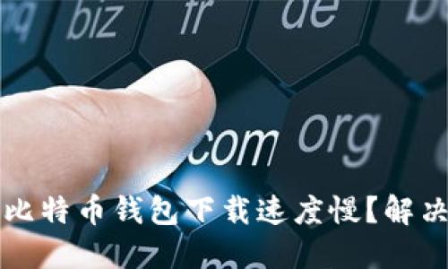 为什么我的比特币钱包下载速度慢？解决方案与技巧