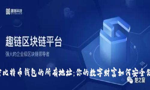 解密比特币钱包的所有地址：你的数字财富如何安全储存？
