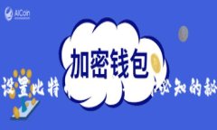 如何安全设置比特币钱包