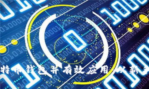 如何安全下载比特币钱包并有效应用：从新手到高手的全指南