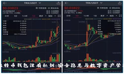 比特币钱包没有私钥：安全隐患与数字资产管理