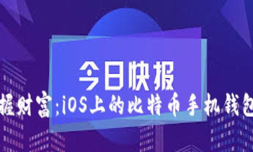 “在掌中掌握财富：iOS上的比特币手机钱包完全指南”