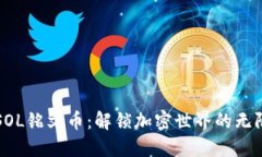 探索SOL铭文币：解锁加密世界的无限潜力