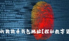 如何快速找到你的狗狗币钱包地址？探秘数字货
