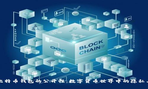 揭秘比特币钱包的公开性：数字货币世界中的隐私与透明