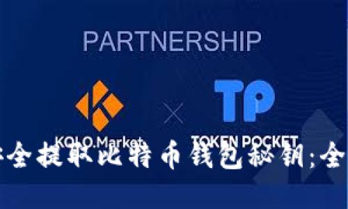 如何安全提取比特币钱包秘钥：全面指南