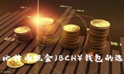 深度解析比特币现金（BCH）钱包的选择与使用