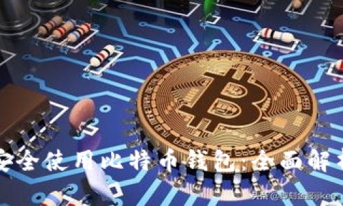 如何在国内安全使用比特币钱包：全面解析与实用指南