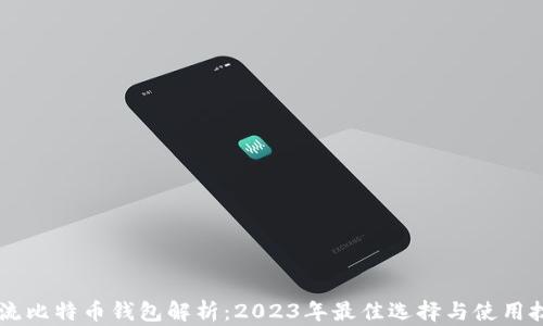 
主流比特币钱包解析：2023年最佳选择与使用技巧
