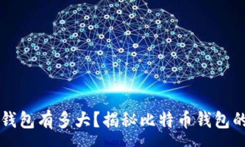 :
一般存比特币的钱包有多大？揭秘比特币钱包的存储空间与方法