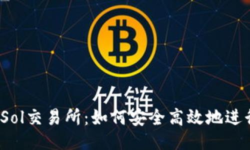 及关键词

TP钱包与Sol交易所：如何安全高效地进行SOL交易