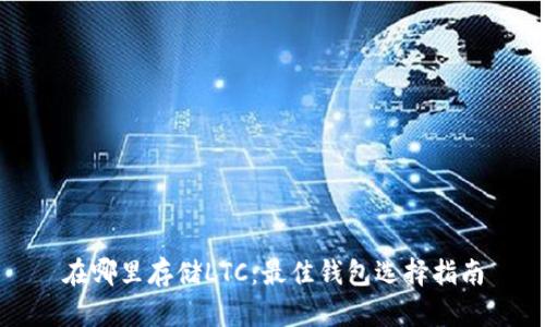 在哪里存储LTC：最佳钱包选择指南