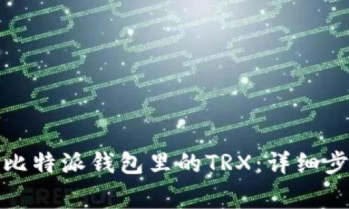 如何安全清空比特派钱包里的TRX：详细步骤与注意事项