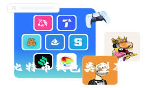 全面解析比特币钱包类型及其选择指南