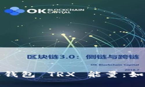 深入解读比特派钱包 TRX 能量：如何您的交易体验