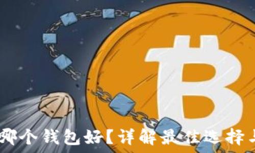 USDT使用哪个钱包好?详解最佳选择与使用指南