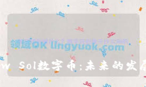 深入解析Flow Sol数字币：未来的发展机遇与挑战