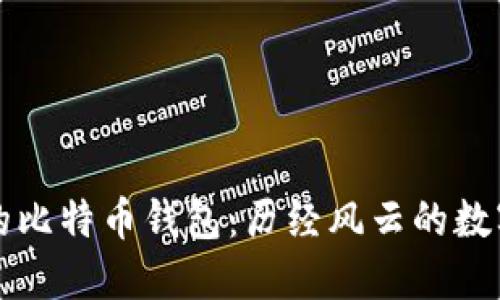 揭秘最久的比特币钱包：历经风云的数字资产堡垒