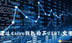 如何通过Chivo钱包购买USDT：完整指南