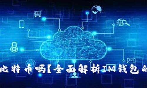 IM钱包可以放比特币吗？全面解析IM钱包的功能与安全性